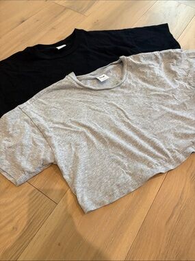 Aritzia TNA Black and Grey Cropped T-Shirts, 100% Cotton (2)